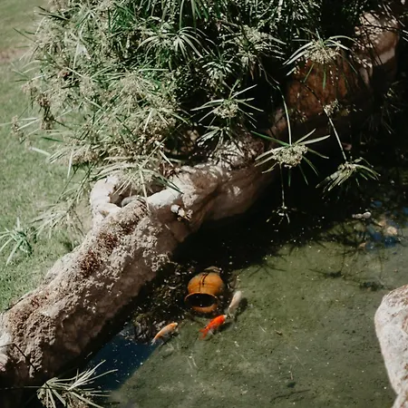 Vakantiehuis Casa Do Bo Nel *