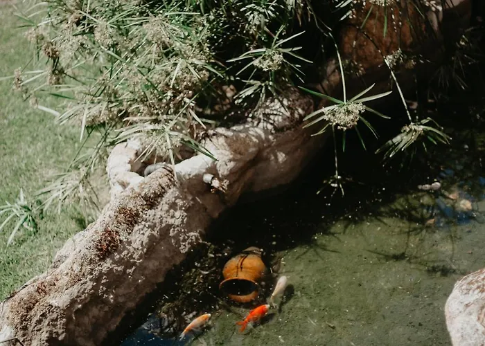 Дом отдыха Casa Do Bo Nel *