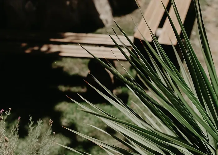 Casa Do Bo Nel * Valpaços