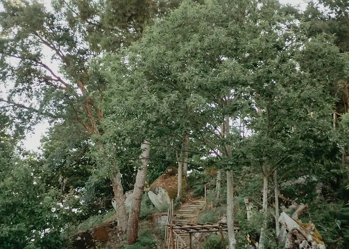 Casa Do Bo Nel Hébergement de vacances